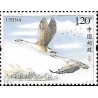 Chiny 2018, Ptaki: dzika gęś **