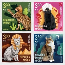 Chorwacja 2021, Koty **