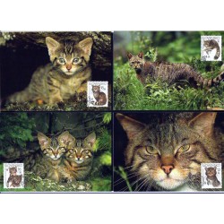 Słowacja 2003, WWF: żbik. Karta maksimum