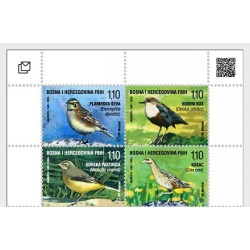 Bośnia 2024, Ptaki **