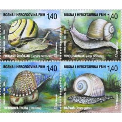 Bośnia 2025, Fauna: ślimaki **