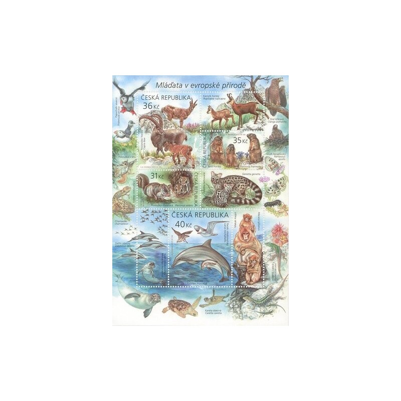 Czechy 2025, Fauna: ptaki, ssaki, owady, gady i płazy **