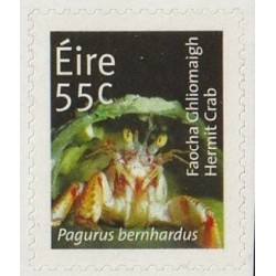 Irlandia 2012, Fauna: krab. Samoprzylepny **
