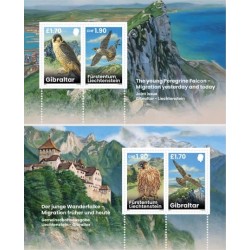 Gibraltar i Liechtenstein 2025, Ptaki: sokół wędrowny. 2 bloki **