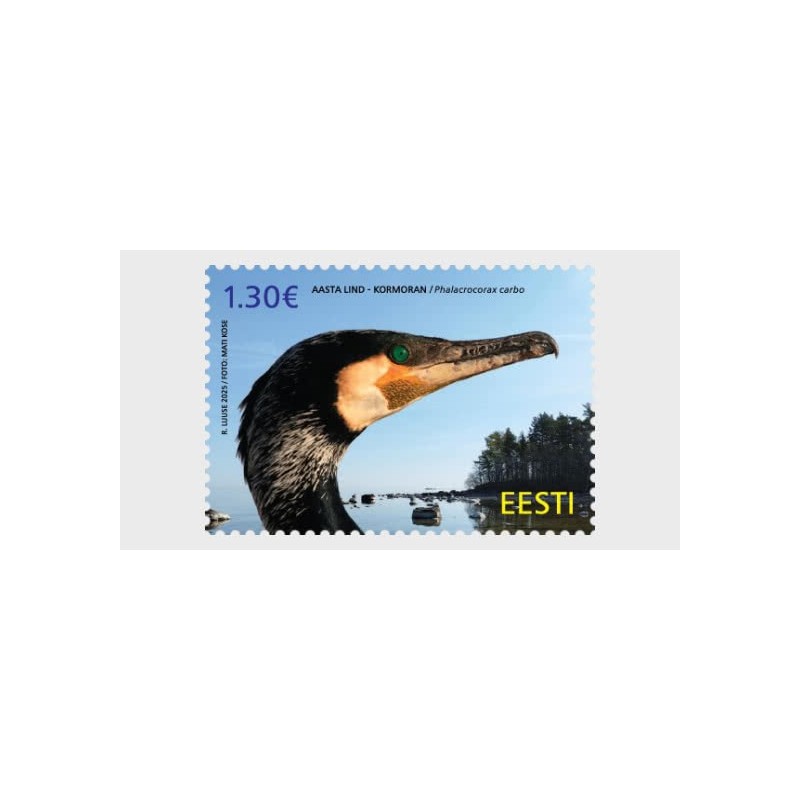Estonia 2025, Ptaki: kormoran **