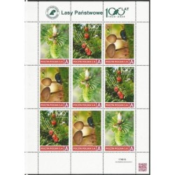 2024 Personalizowany, Lasy Państwowe, flora, grzyby, las. Arkusz **