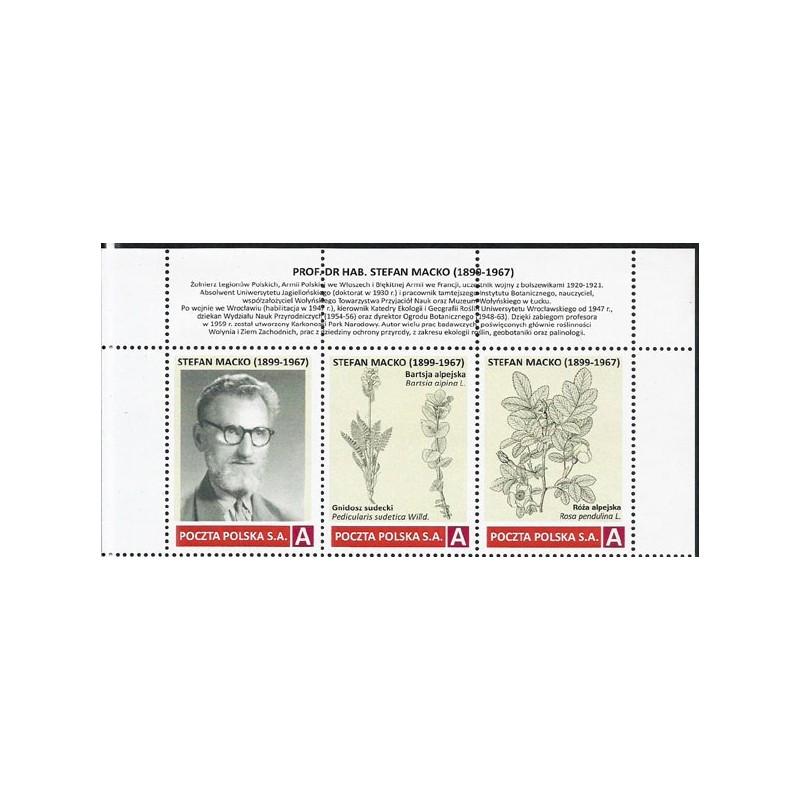2024 Personalizowany, Stefan Macko, flora, botanika, Karkonosze, Legiony Polskie, Wrocław. Pasek **