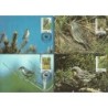 Bahamy 1995, WWF: ptaki. Karty maksimum