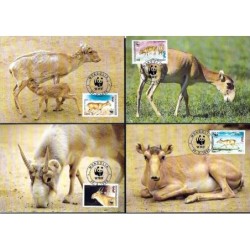 Mongolia 1995, WWF: antylopa suhak. Karty maksimum