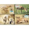 Mongolia 1995, WWF: antylopa suhak. Karty maksimum