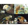 St Vincent 1989, WWF: ptak papuga. Karty maksimum