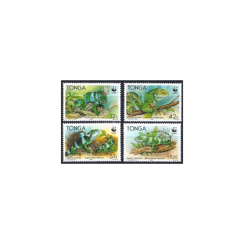 Tonga 1990, WWF: iguana **