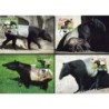 Wietnam 1995, WWF: tapir. Karty maksimum