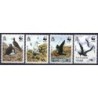 Wyspa Wniebowstąpienia 1990, WWF: ptaki **