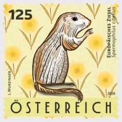 Austria 2026, Fauna: wiewiórka **