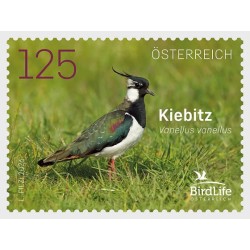 Austria 2026, Ptak: czajka **