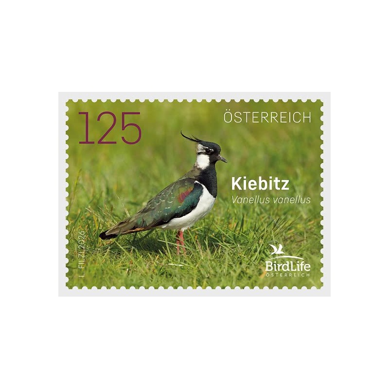 Austria 2026, Ptak: czajka **