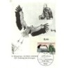 Niemcy 1984, A. Brehm, zoologia, ptak, bocian. Karta maksimum