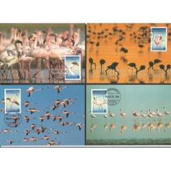 Angola 1999, WWF: ptaki flaming.Karty maksimum