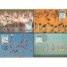 Angola 1999, WWF: ptaki flaming.Karty maksimum