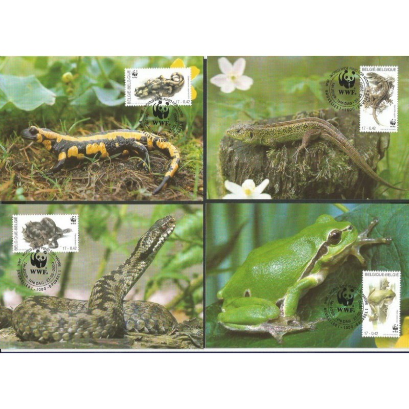 Belgia 2000, WWF: gady i płazy. Karty maksimum