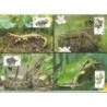 Belgia 2000, WWF: gady i płazy. Karty maksimum