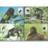 Belize 1997, WWF: małpa. Karty maksimum
