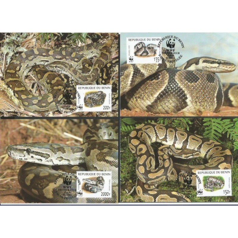 Benin 1999, WWF: wąż. Karty maksimum