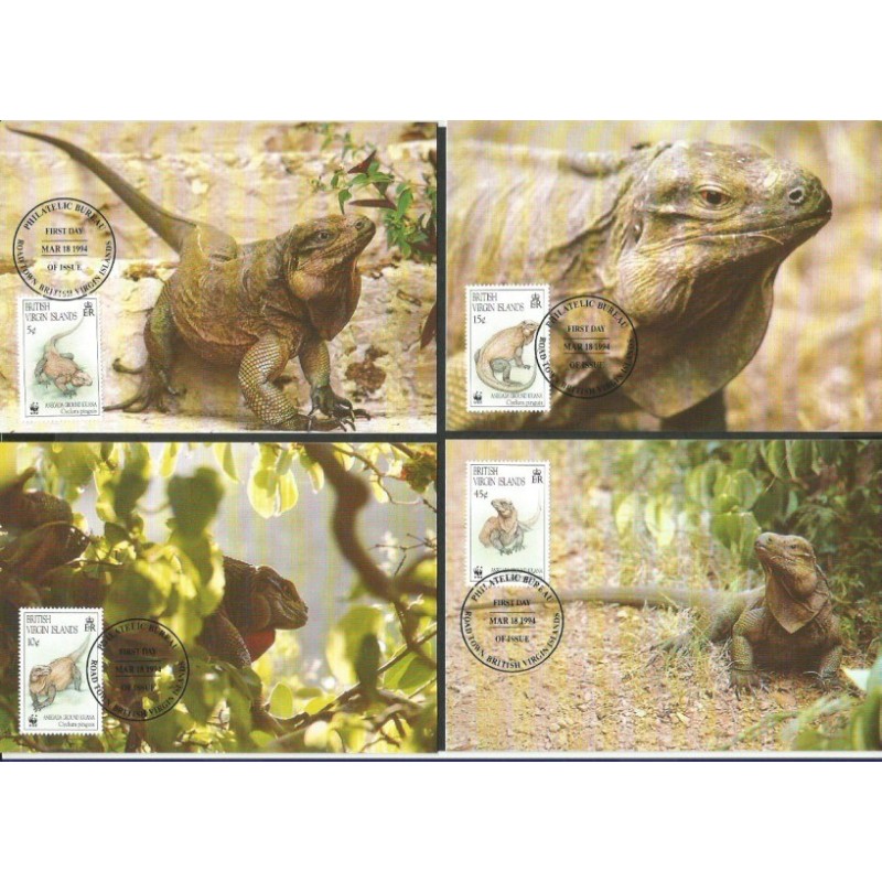 Br. W. Dziewicze 1994, WWF: iguana. Karty maksimum