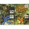 Bryt. Ter. Ind. 2001, WWF: rozgwiazdy. Karty maksimum