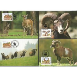 Cypr 1998, WWF: owca stepowa. Karty maksimum