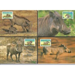 Dżibuti 2000, WWF: guziec. Karty maksimum