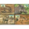 Dżibuti 2000, WWF: guziec. Karty maksimum
