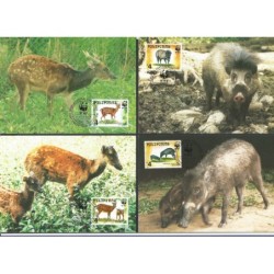 Filipiny 1997, WWF: świnia wisajska. Karty maksimum