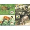 Filipiny 1997, WWF: świnia wisajska. Karty maksimum