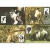 Ghana 1994, WWF: małpy. Karty maksimum