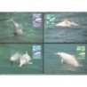 Hong Kong 1999, WWF: delfin. Karty maksimum
