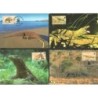 Indonezja 2000, WWF: waran. Karty maksimum