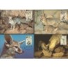 Izrael 2000, WWF: lis. Karty maksimum