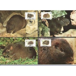 Jamajka 1996, WWF: gryzoń nocohutia. Karty maksimum