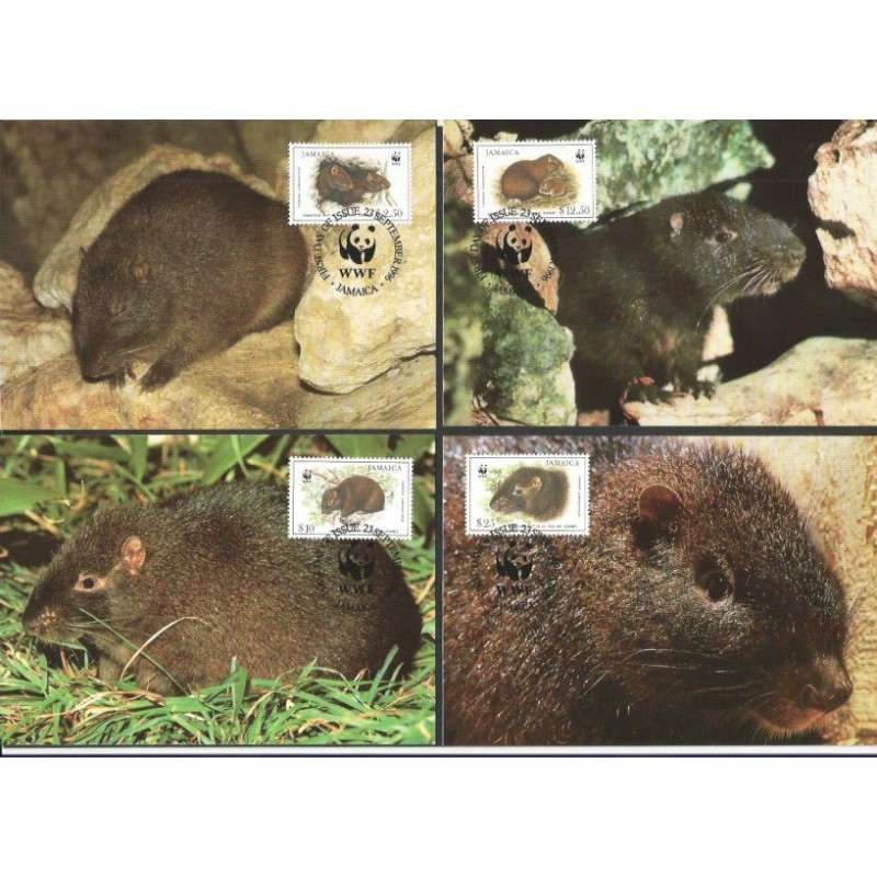 Jamajka 1996, WWF: gryzoń nocohutia. Karty maksimum
