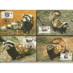 Kazachstan 1997, WWF: łasica perewiaska marmurkowa. Karty maksimum