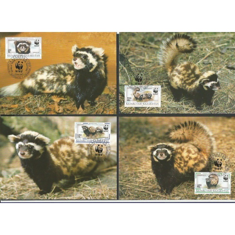 Kazachstan 1997, WWF: łasica perewiaska marmurkowa. Karty maksimum