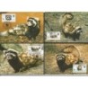 Kazachstan 1997, WWF: łasica perewiaska marmurkowa. Karty maksimum