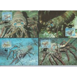 Kiribati 1998, WWF: langusta. Karty maksimum
