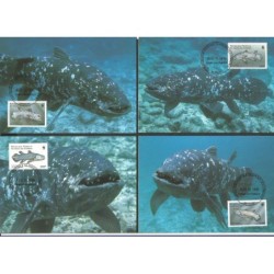 Komory 1998, WWF: ryba. Karty maksimum
