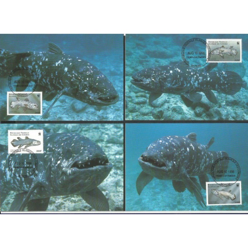 Komory 1998, WWF: ryba. Karty maksimum