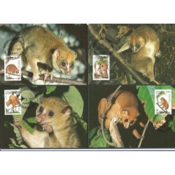 Kongo 1997, WWF: lemur lori. Karty maksimum