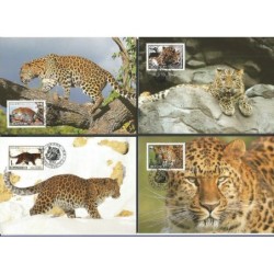 Korea Pn 1998, WWF: lampart amurski. Karty maksimum