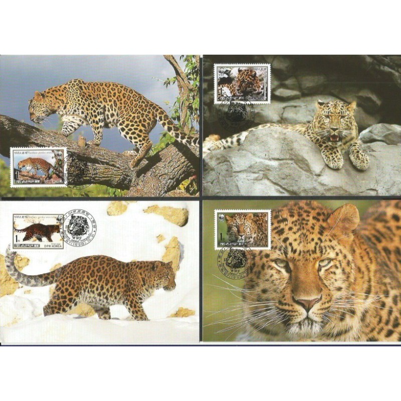 Korea Pn 1998, WWF: lampart amurski. Karty maksimum